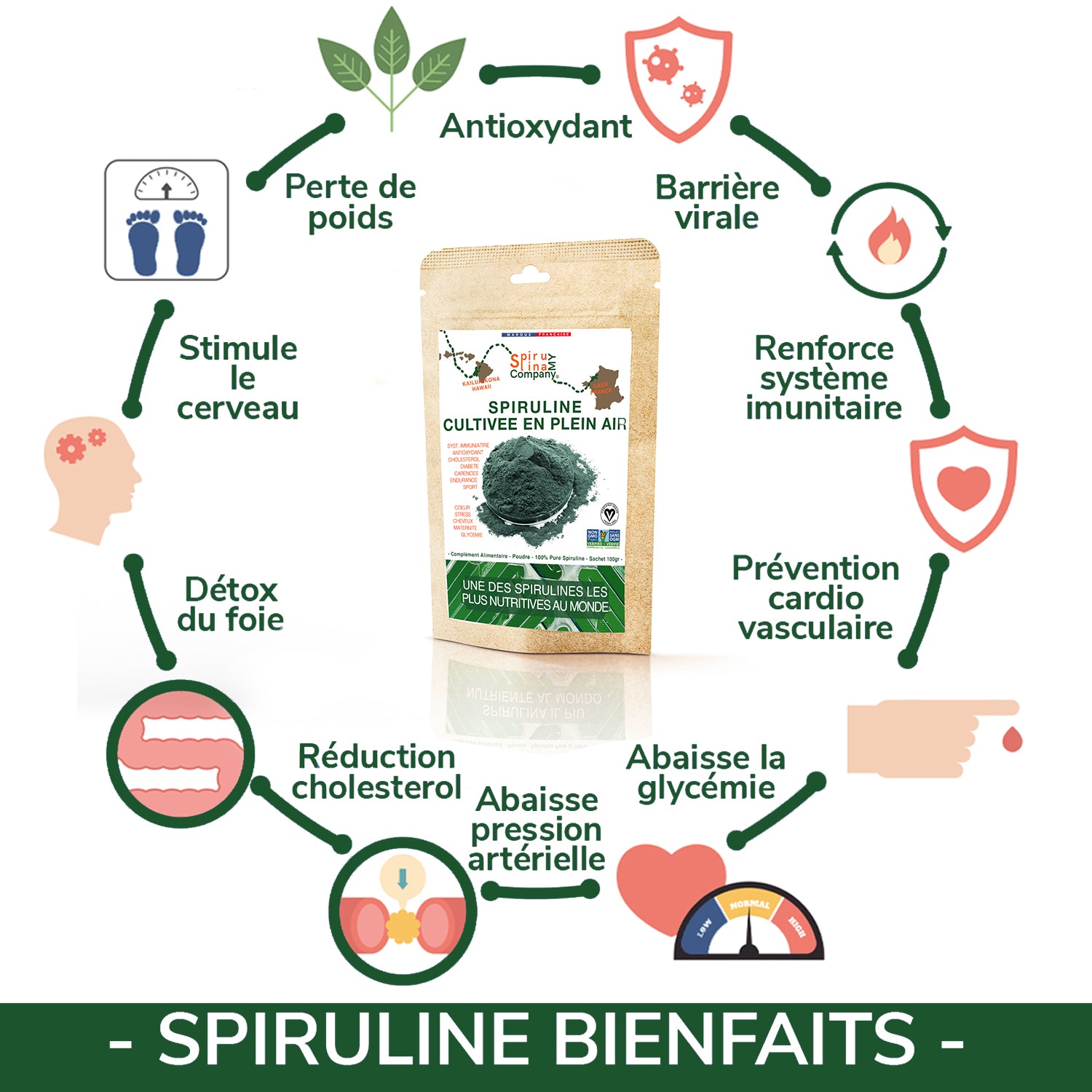 Spiruline Poudre 100% Spiruline Eco Friendly Emballage compostable